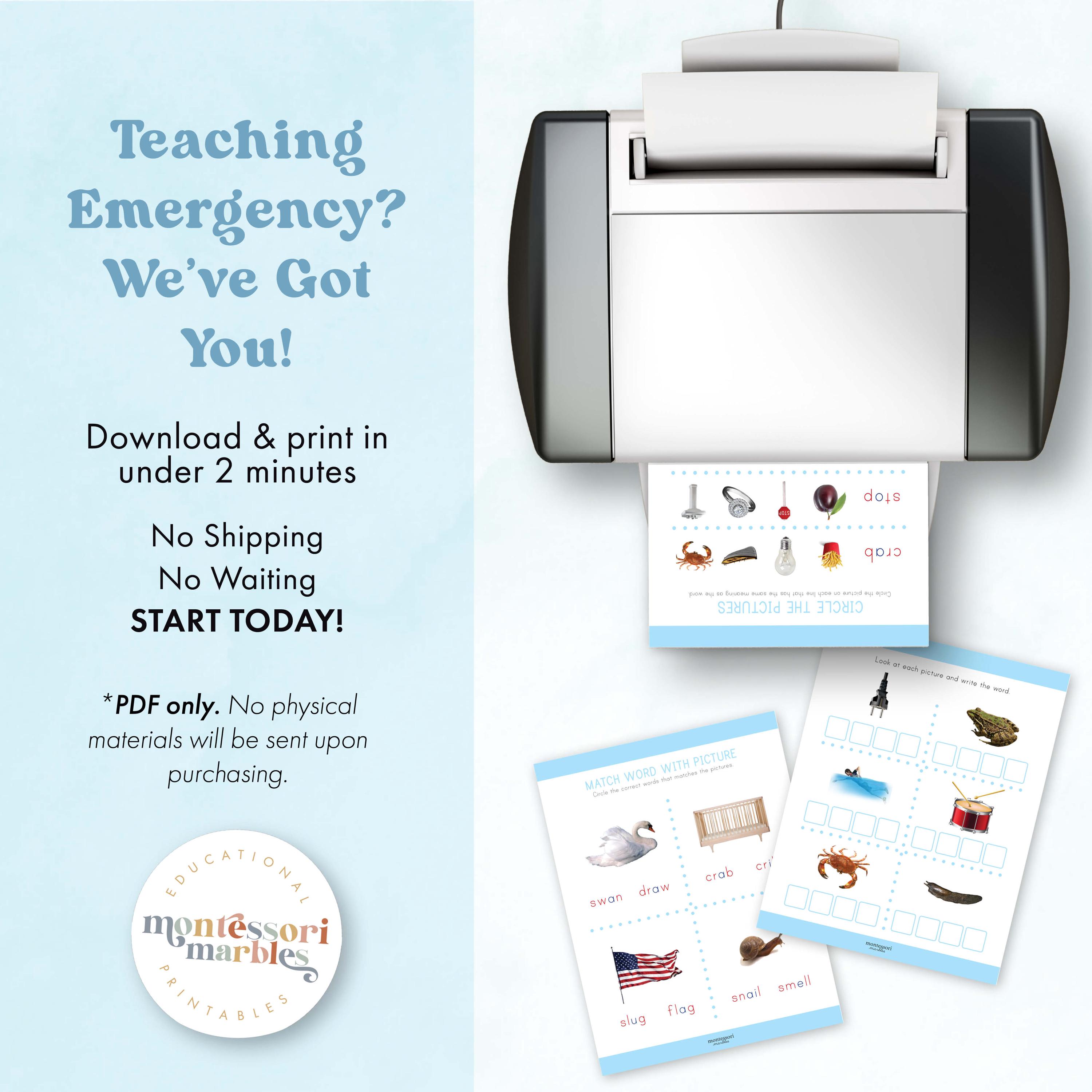 Blue Series Workbook | Montessori Language | Beginning Consonant Blends ...