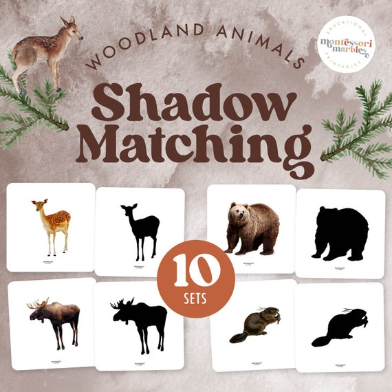 Woodland Animals Shadow Matching | Silhouette Game 10 Forest Animals | Ages 3-6 | Visual Skills Printable PDF