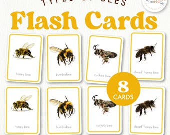 Types of Bees Flash Cards | Montessori Science | Nature Study Insects Ages 3-8 | Printable PDF