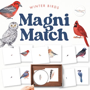 WINTER BIRDS Magnifying Matching Game | Montessori at Home Using Magnifying Glass | Activity for Preschool & Kindergarten