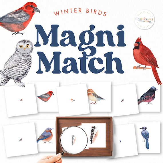 Winter Birds Magni Match PDF | Magnifying Glass Ages 3-6 | Bird Watching Observation | Preschool Kindergarten Homeschool Nature Study
