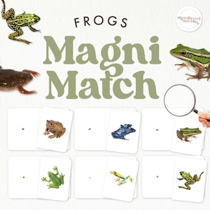 Op de afbeelding: Een setje frog-memorykaarten met een vergrootglas. De kaarten tonen verschillende soorten kikkers, waaronder een groene boomkikker, een bruine pad, een blauwe gifkikker en een roodoogkikker. De kaarten zijn ontworpen voor kinderen om verschillende soorten kikkers te leren kennen.