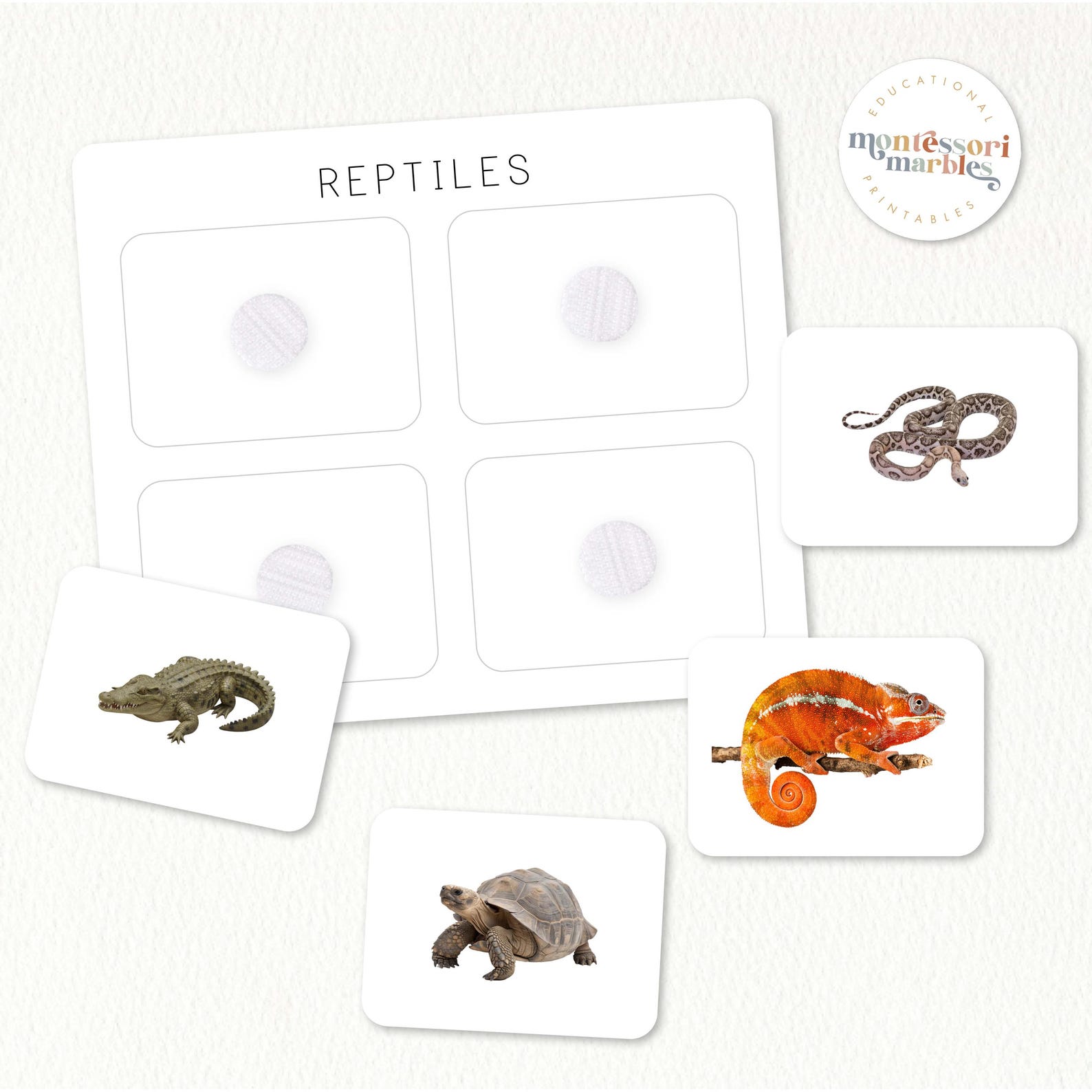 Vertebrates Classification Sorting Cards | Montessori Science Activity ...