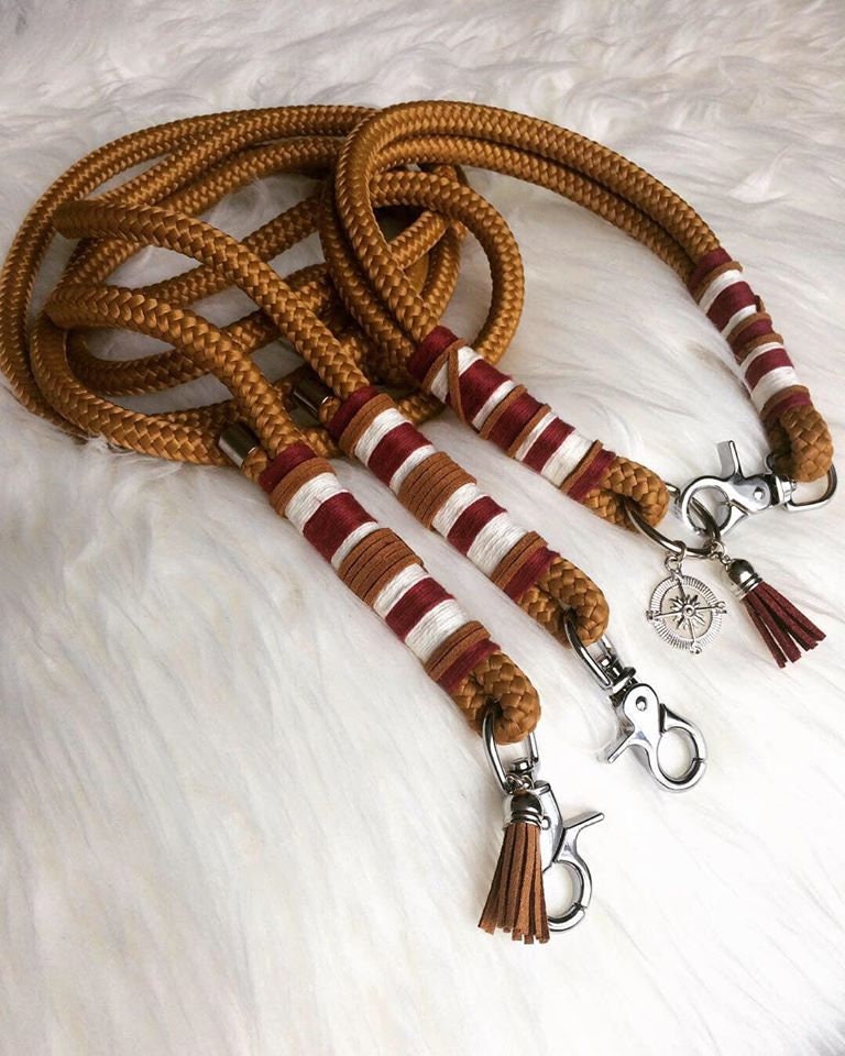 Laisse Phileas Multipositions 2M50