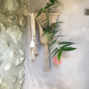 Peut inclure: Un porte-plante en macramé beige avec une plante en pot aux feuilles vertes et aux fleurs roses. Le support est suspendu à une cheville en bois et comprend des glands décoratifs et des perles en bois. La plante est contre un mur gris clair.