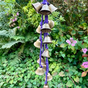 May include: A string of 15 small, gold-coloured bells hanging from a purple cord. The bells are arranged in a cascading pattern, with the largest bell at the top and the smallest bell at the bottom. The bells are hanging against a backdrop of green foliage.