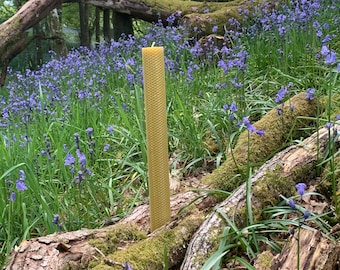 Giant Hand Rolled Beeswax Pillar Candle: Unscented Honeycomb Altar Decor