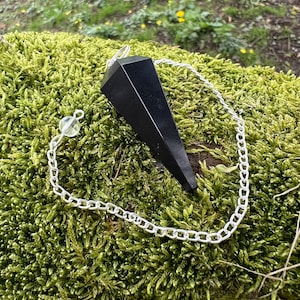 May include: A black crystal pendulum with a silver chain and a clear crystal bead. The pendulum is resting on a bed of green moss. The background is blurred, suggesting an outdoor setting.