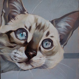 Portraits d'animaux de compagnie personnalisés, toile d'art originale, peinture à l'huile de chat, art de chat, décoration, peinture d'une seule pièce, art original, peinture à l'huile originale, cadeau