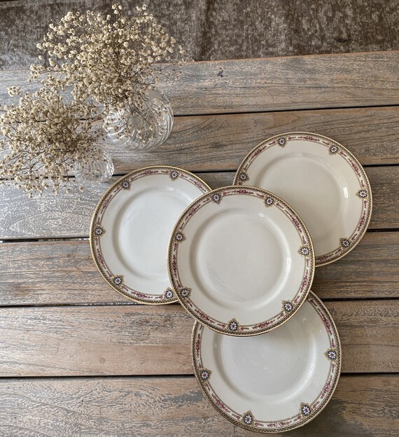 Lot De 6 Assiettes Anciennes Arcopal Porcelaine Blanche Motif Floral Vintage