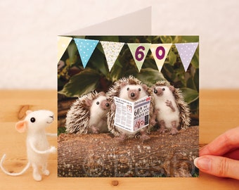 60th Birthday Hedgehog Card: Handcrafted Whimsical Needle Felted photographed Design