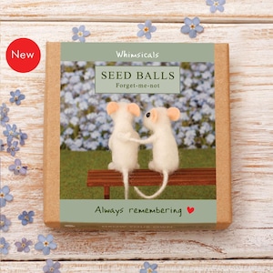 Forget-me-not Seed Balls: In Loving Memory Gift