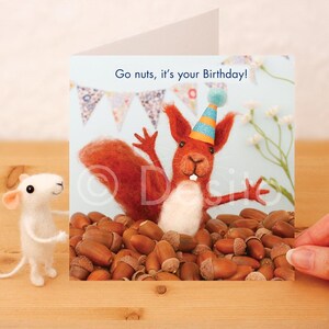 May include: A birthday card with a red squirrel wearing a party hat, surrounded by acorns. The card reads "Go nuts, it's your Birthday!" A small white mouse figurine stands to the left of the card. The background includes a banner of colorful flags.