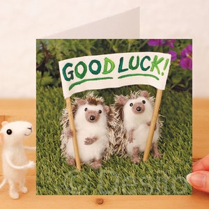 whimsical greetings card - Good Luck (exams, driving test, new job  etc)