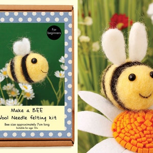 May include: A needle felting kit to make a bee. The kit includes wool, needles, and instructions. The finished bee is approximately 7cm long. Suitable for ages 10 and up.