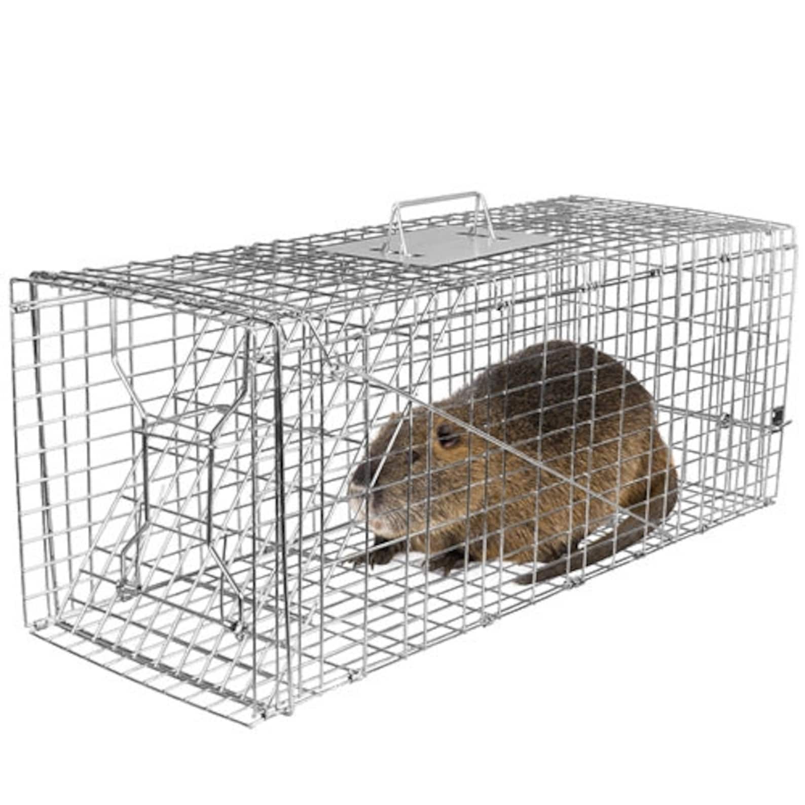 Humane Cat Trap Cage Catch Release Live Animal Rodent Cage Collapsible