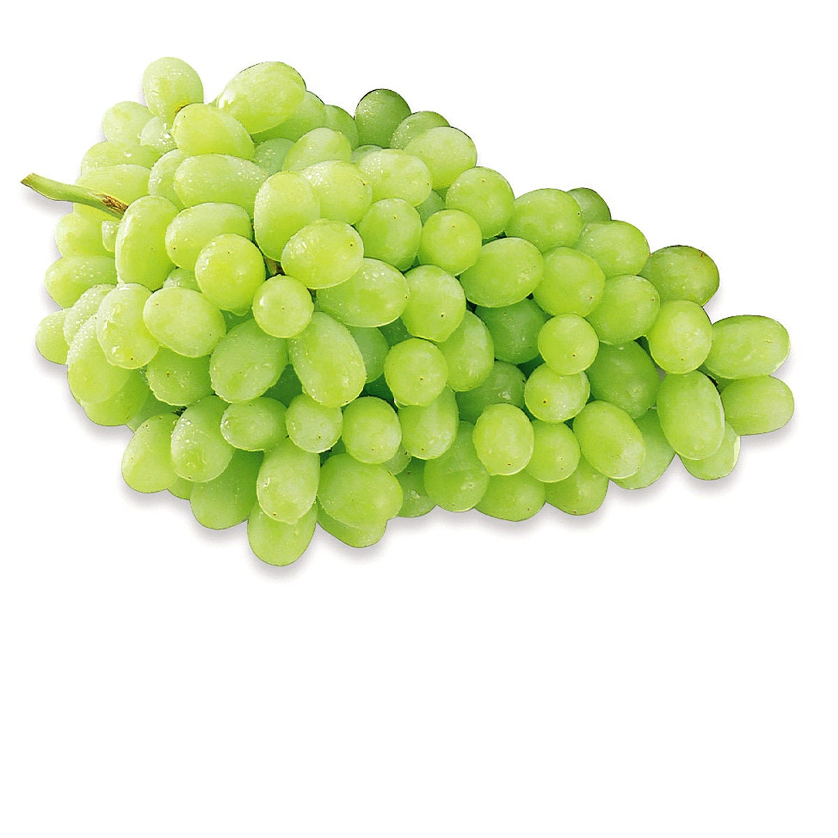 Fresh Seedless Green Grapes 2 Pounds Free Shipping Etsy