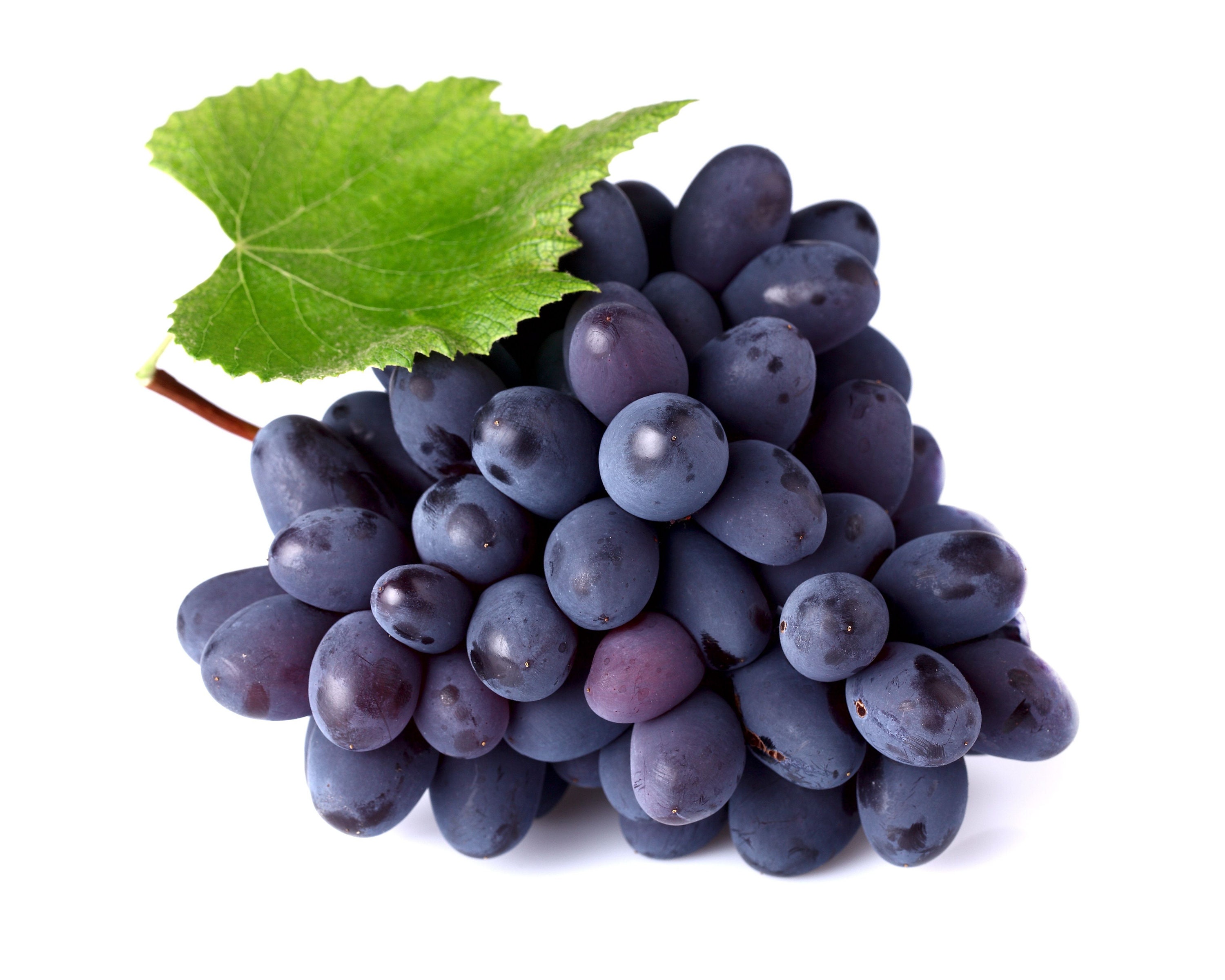 Fresh Seedless Black Grapes 2 Pounds Livraison gratuite Etsy