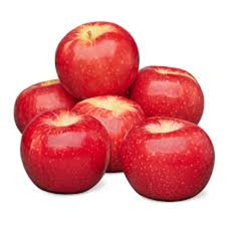 Fresh Honeycrisp Apples 3 Pounds Free Shipping | Etsy
