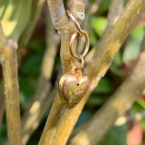 May include: A gold heart charm with a small loop at the top. The charm is hanging from a branch.