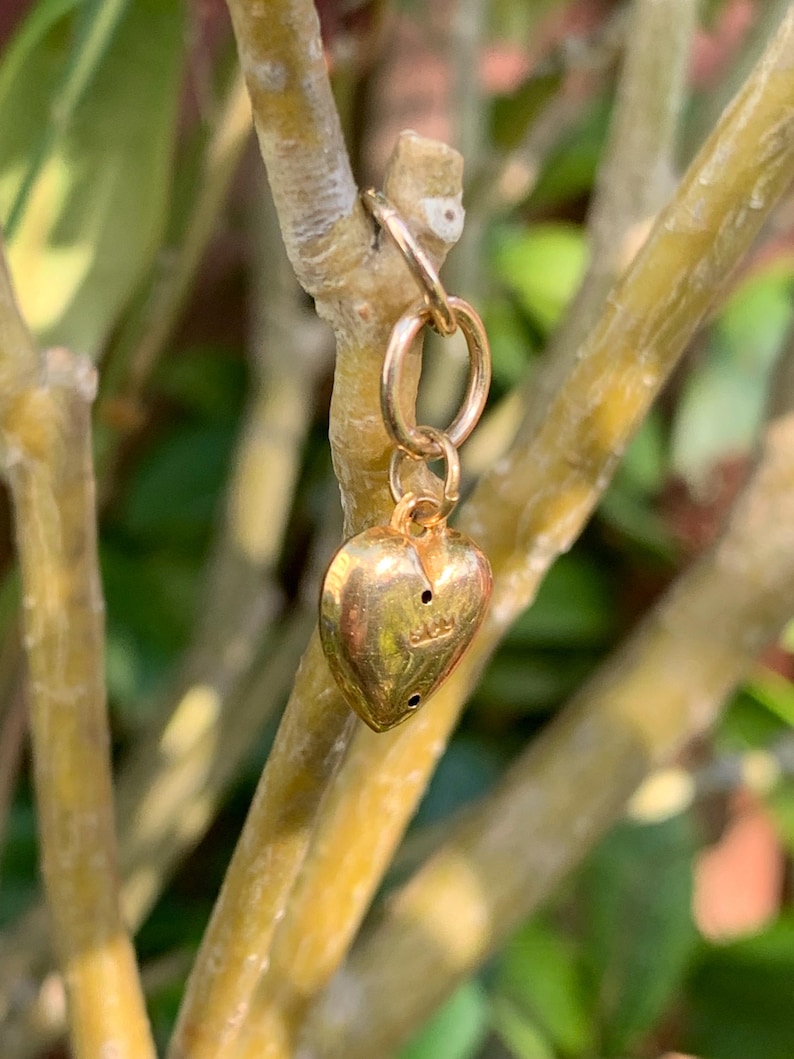 May include: A gold heart charm with a small loop at the top. The charm is hanging from a branch.