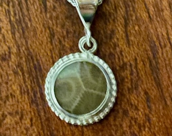 Può includere: Una collana con pendente in argento con una pietra fossilizzata rotonda. La pietra è incastonata in una lunetta d'argento con un bordo a forma di corda e pende da una delicata catena d'argento. Il fossile ha un motivo marrone chiaro e beige.