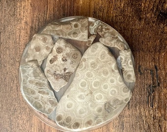 Petoskey Stone Coaster 3
