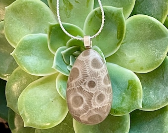 Può includere: Una collana d'argento con un ciondolo in pietra marrone chiaro con un motivo unico di cerchi. Il ciondolo a forma di goccia è appeso su uno sfondo di foglie verdi succulente.