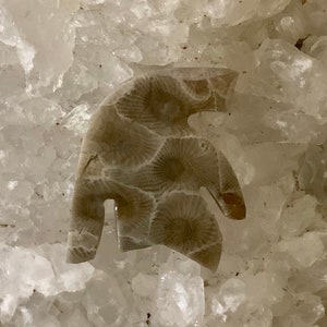 Petoskey Stone Sparty Magnet