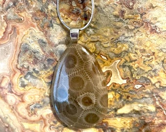Petoskey stone teardrop necklace **