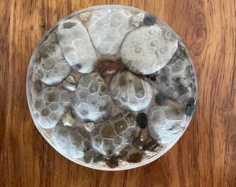 Petoskey Stone Coaster 2