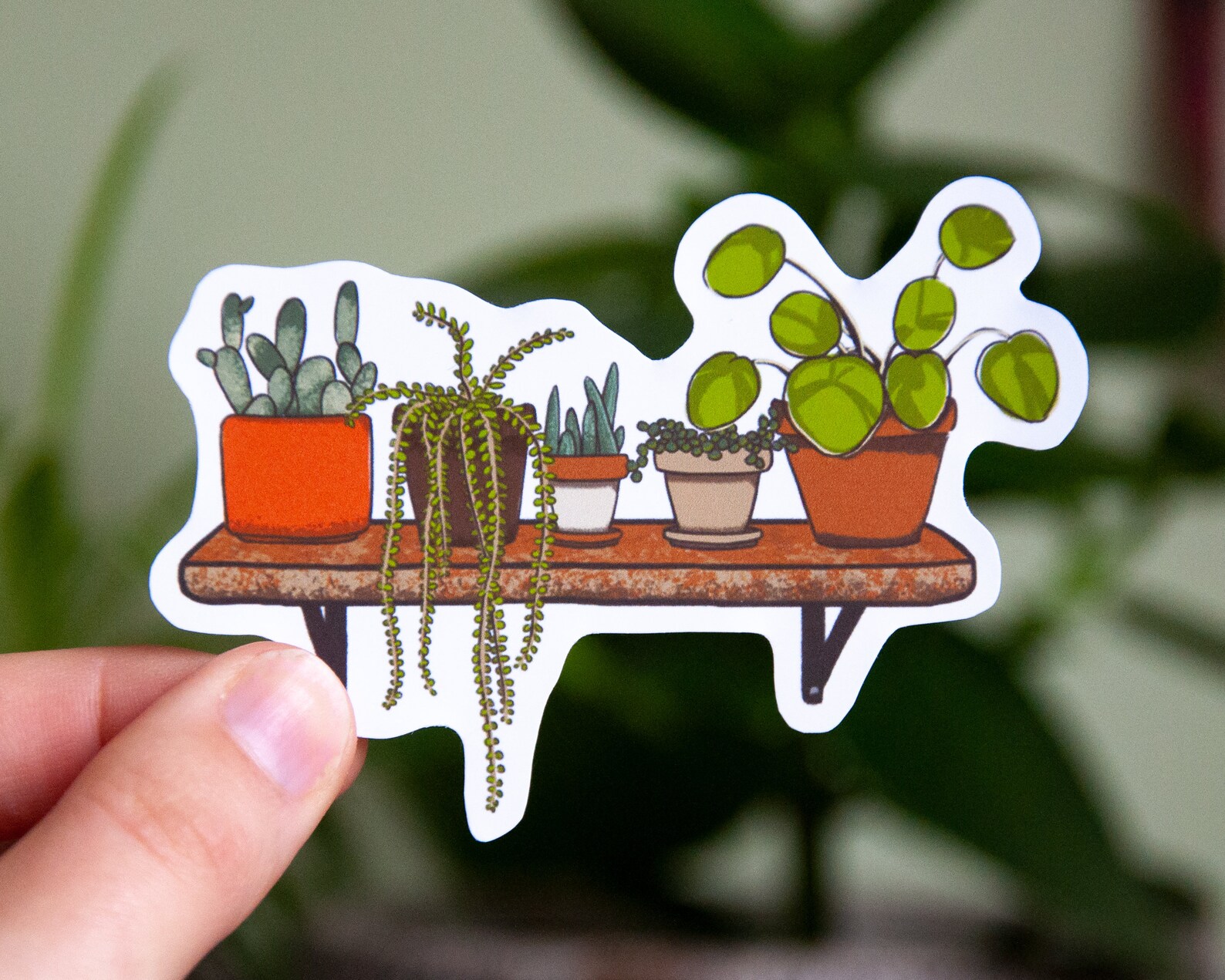 Urban Jungle Die-Cut Sticker Houseplants Vinyl Sticker | Etsy Urban Jungle Die-Cut Sticker Houseplants Vinyl Sticker | Etsy