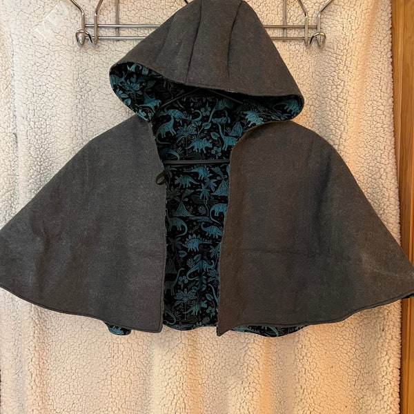 Dinosaur Cape Blue and Purple