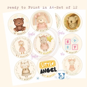 Baby Months, Baby Stickers,printable Months,cute Animals SET Girls Download JPG PDF, loveliest Baby Monthly Milestone Car Stickers, Cricut