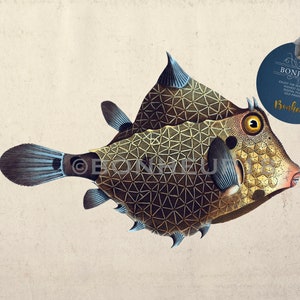 Christmas Printable Fish Illustration &quot;Turret&quot; Digital Download PNG + JPG Images for Wall Art Prints, Collages, Scrapbook, Crafts...