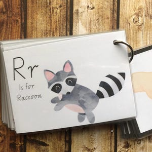 May include: A white card with the letter R in black and the words "is for Raccoon" in black. A watercolour illustration of a raccoon with a black and white striped tail is on the card.