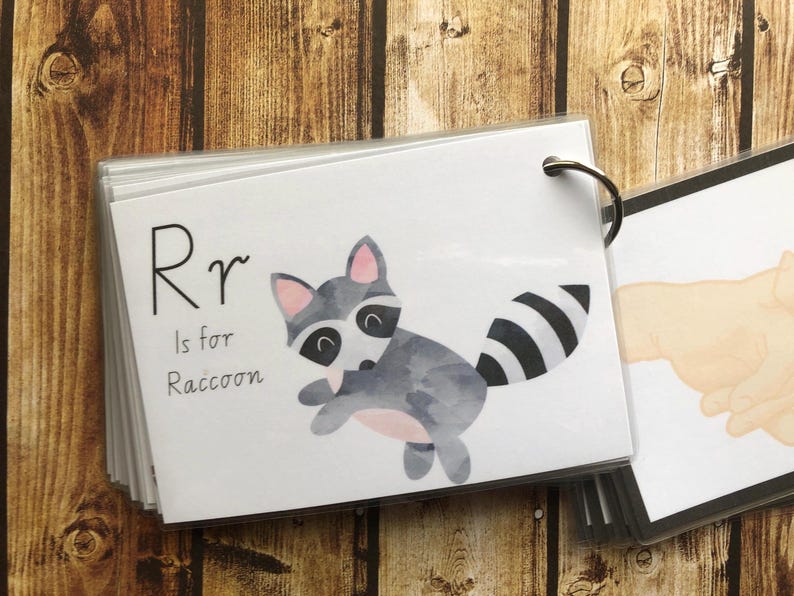 May include: A white card with the letter R in black and the words "is for Raccoon" in black. A watercolour illustration of a raccoon with a black and white striped tail is on the card.