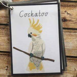 Australian Animals FlashCards, Home school Learning Resource, Visual aid for kids, Preschool Educational Resources, Aussie native animals