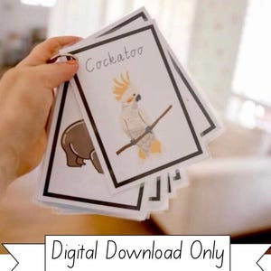 Australian animals, Australian native animals, Australian wildlife, Flash cards for kids, Fun fact cards, Toddler flashcards, Preschool