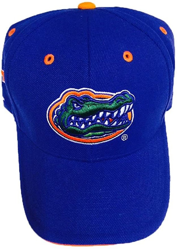 Florida Gators Blue 3-D Head Logo Cap 