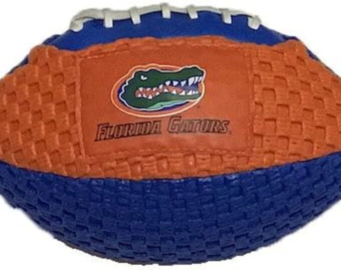 Florida Gators 8.5" Non-Slip Football