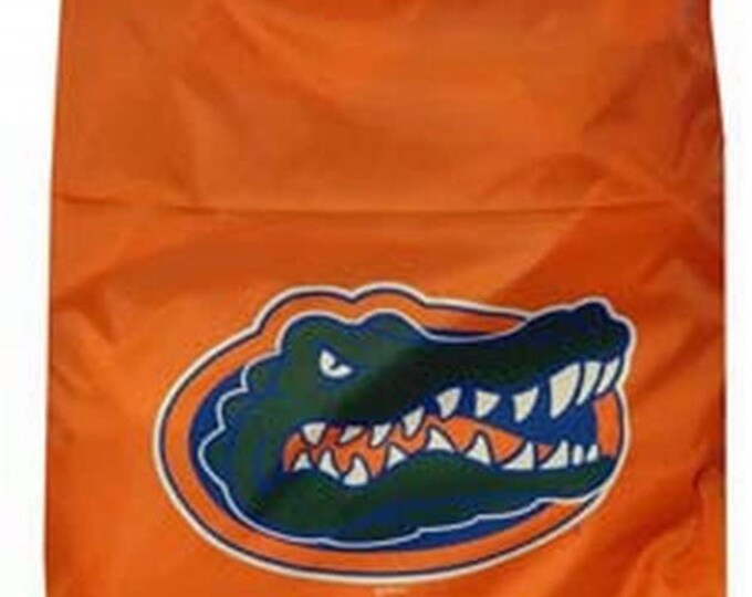 Florida Gators Laundry Team Logo Design Bag, Orange