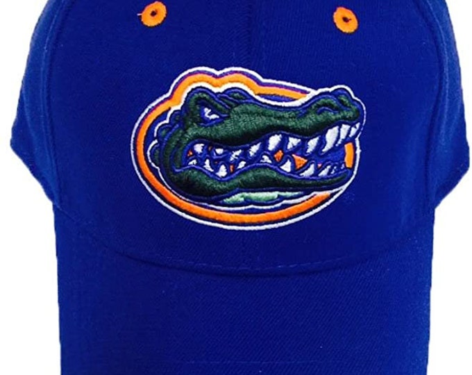 Florida Gators Blue One Fit Logo Cap