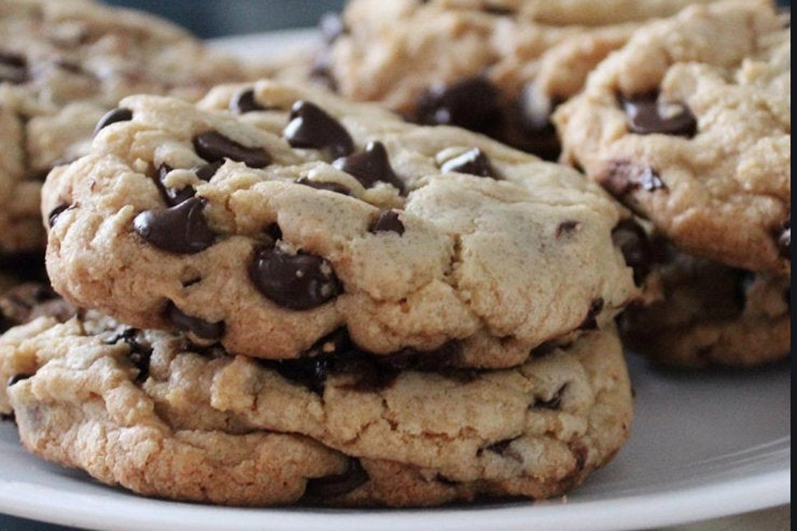 Cakelike Chocolate Chip Cookie Recipe Etsy