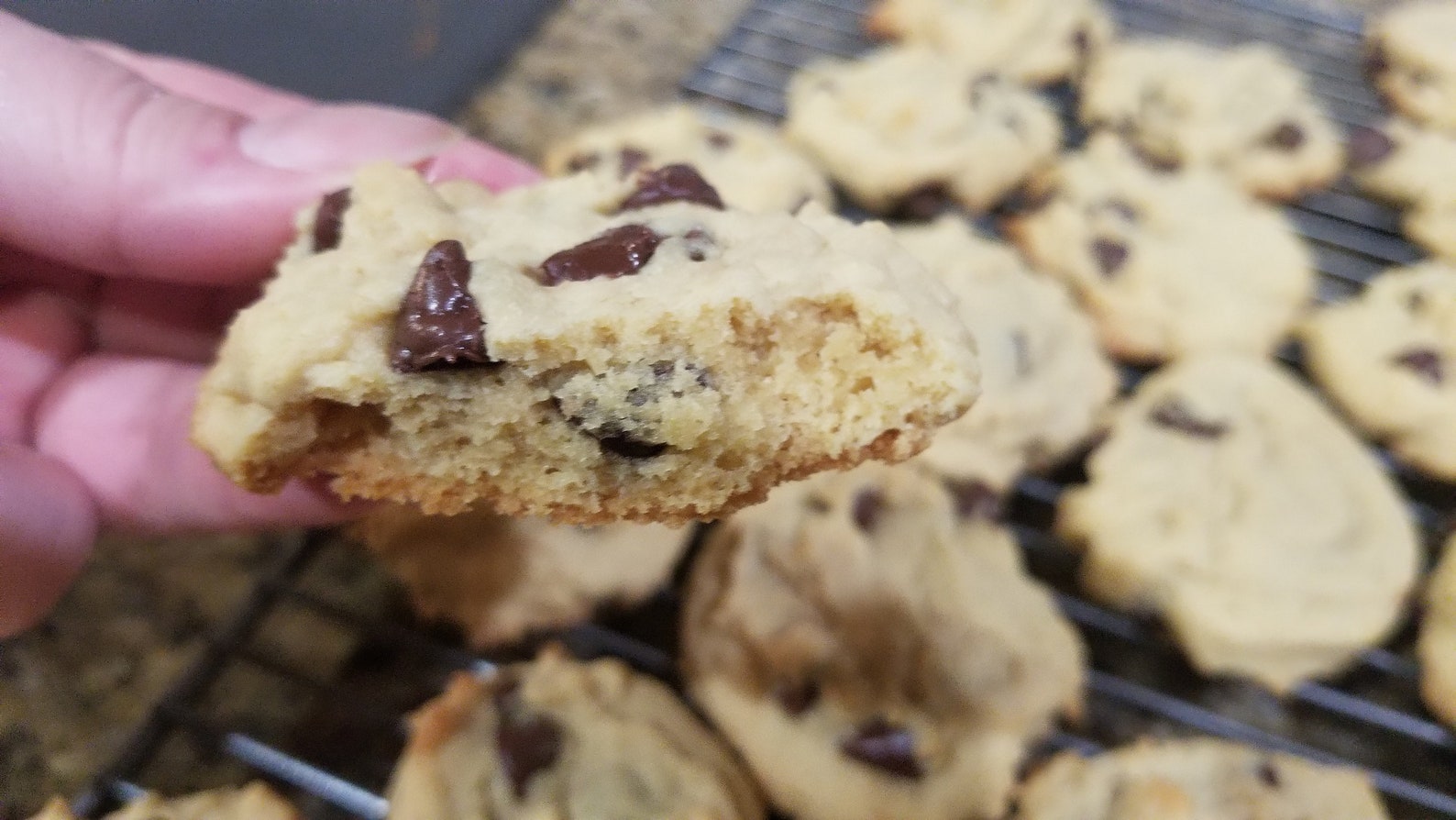 Cakelike Chocolate Chip Cookie Recipe Etsy