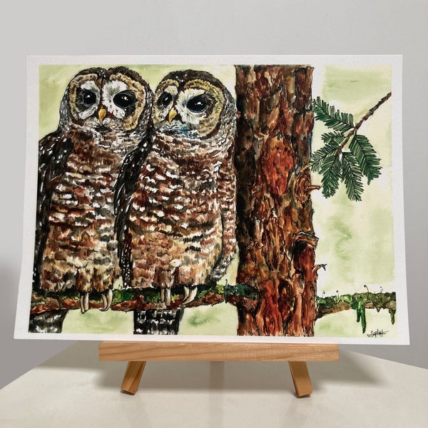 Northern Spotted Owls Print, Watercolor Owls Print, Watercolor Giclée, Watercolor Wall Art, Owl Wall Decor, 9x12in, Sophia Lavrov