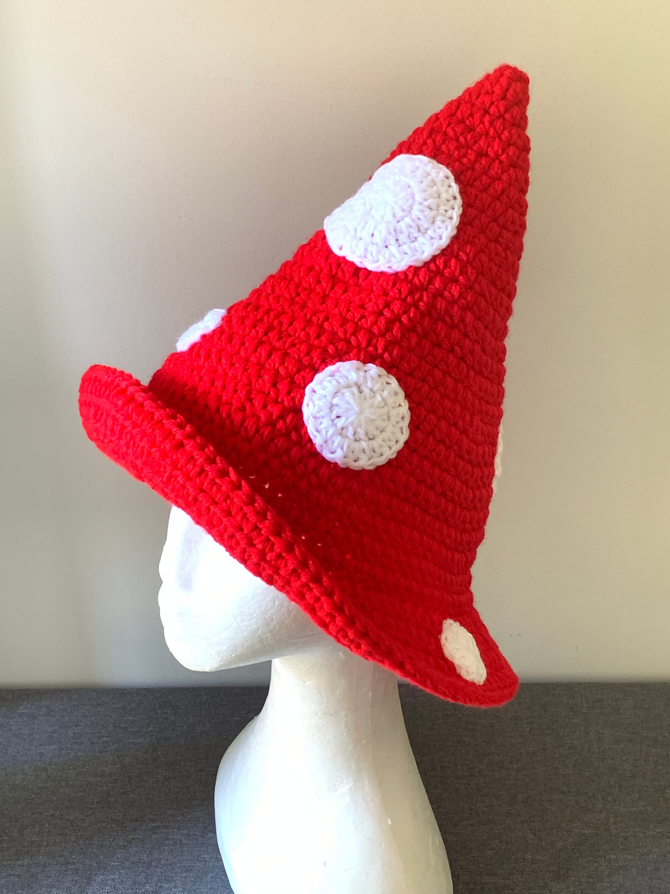 Mushroom Wizard Hat Witch Hat Red Hat 