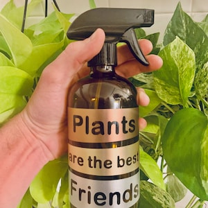 Plant Spray Bottle, Houseplant Spray Water Bottle, Amber Glass Plant Misting Bottle, Garden Spray Water Bottle