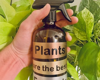 Botella de aerosol de la planta, botella de agua de rociado de la planta de la casa, botella de nebtil de la planta de vidrio del ámbar, botella de agua del aerosol del jardín