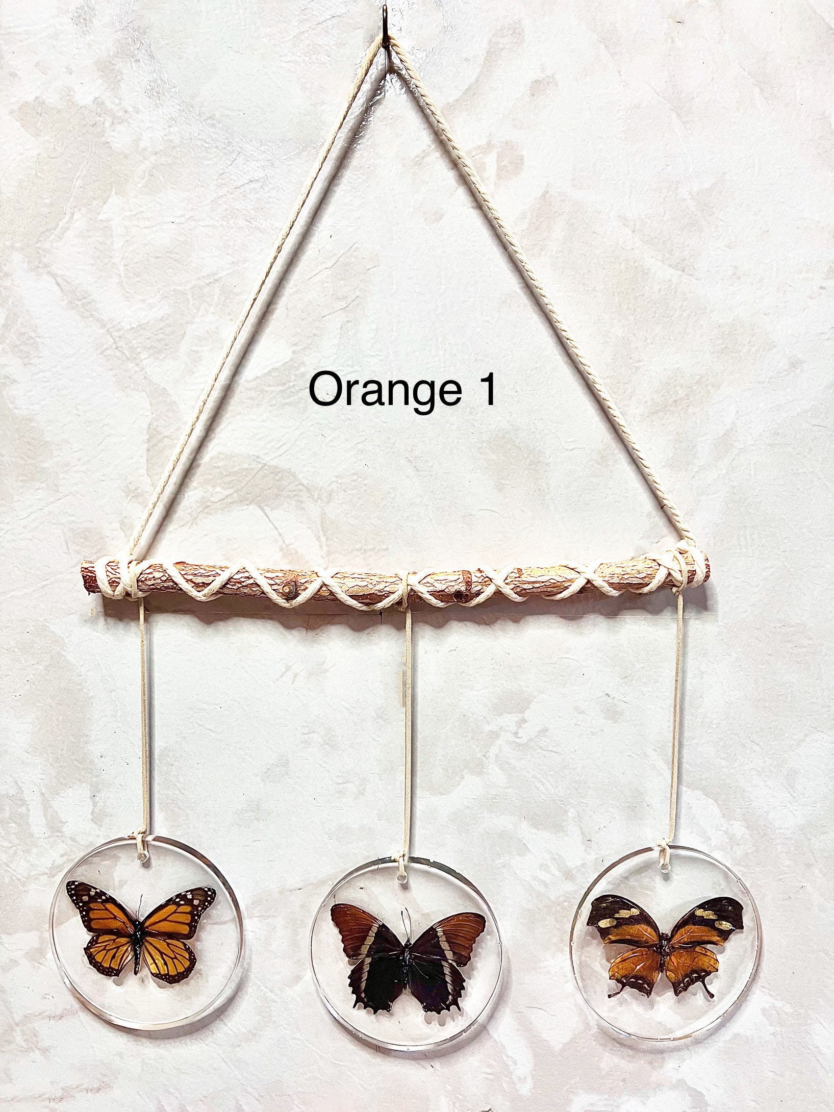 Original Butterfly Wall Hanging (Real Specimens) 16” x 12” - Thumbnail 2